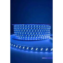 ACK 120 Ledli 220 V 6 W 50 m Şerit Led Mavi Işık
