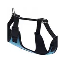 Actirex 45-55 cm 8-14 kg M Mavi Cool Dokuma Kumaş Neon Köpek Göğüs Tasması