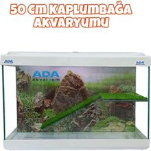 Ada Akvaryum Su Kaplumbağası Akvaryumu Bahçeli Rampalı Dinlenme 50X30x25 Cm Arka Plan Hediyeli
