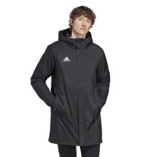 Adidas ENT22 Stadjkt Black Erkek Mont