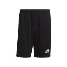 Adidas GN5776 Erkek Futbol Şort
