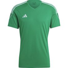 Adidas IC7477 Tiro 23 JSY Yeşil V Yaka Erkek Forması