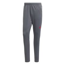 Adidas IJ9610 TR ES Gri Erkek Eşofman Altı