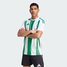 Adidas IW2148 Striped 24 Erkek Futbol Forma