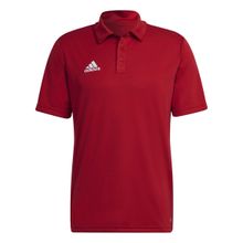 Adidas Parma22 Tepore Polo Erkek T-shirt