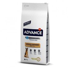 Advance German Shepherd Hindili 12 kg Yetişkin Köpek Maması