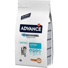 Advance Kitten Tavuklu Yavru 1 kg Açık Kuru Kedi Maması
