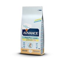 Advance Puppy Protect Tavuklu Büyük Irk 12 kg Yavru Köpek Maması