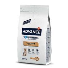 Advance Tavuklu Küçük Irk 1.5 kg Yetişkin Kuru Köpek Maması
