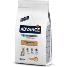 Advance Yorkshire Terrier Tavuklu Yetişkin 1,5 kg Köpek Maması