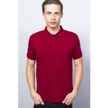 Adze ADZ8873 Bordo Polo Yaka Erkek T-Shirt