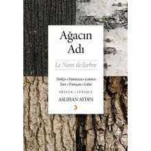 Ağacın Adı - Aslıhan Aydın