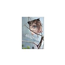 Ağaçtaki - On8 Kitap