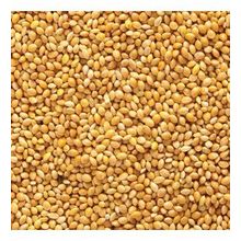 Ak Darı 10 kg Muhabbet Kuşu Yemi