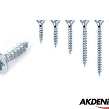Akdeniz 3,5x25 mm Sunta Vidası