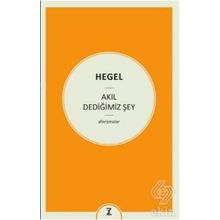 Akıl Dediğimiz Şey - Georg Wilhelm Friedrich