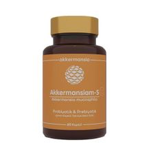 Akkermansiam S 60 Kapsül