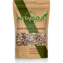 Aktarloji 1 kg Deve Dikeni Tohumu
