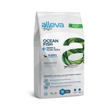 Alleva Holistik Puppy Tahılsız Ringa Balıklı Medium Maxi Irk 2 kg Yavru Köpek Maması