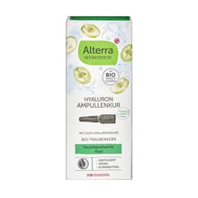 Alterra Hyaluron Konsantre 7x1 ml Ampül