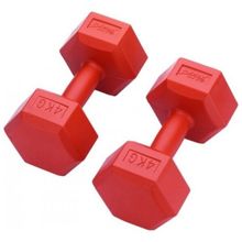 Altis 4 kg Export Kutu Dambıl