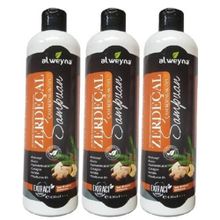 Alweyna Zerdeçal Çam Kozalak Özlü 3x400 ml Bitkisel Şampuan