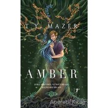 Amber - T. Y. Mazer - Artemis Yayınları