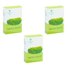 Anatolia Soap Belkıs Koleksiyonu 3x100 gr Yosun Sabunu