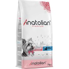 Anatolian 2 kg Premium Mini Adult Salmon Somonlu Yetişkin Küçük Irk Köpek Maması