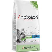 Anatolian 4 kg Premium Mini Adult Lamb Kuzulu Yetişkin Küçük Irk Köpek Maması