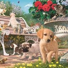 Anatolian Saklambaç 260 Parça Puzzle