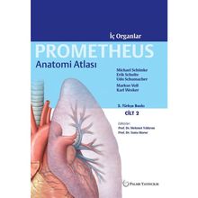 Anatomi Atlası Prometheus Cilt 2 / Kolektif / Palme Yayınları