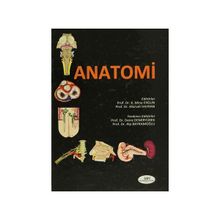 Anatomi - K. Mine Ergun Mürvet Hayran