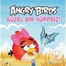 ANGRY BIRDS GÜZEL BIR SÜRPRİZ! - KOLEKTIF
