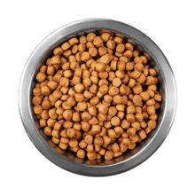 Animal World Sterilised Somonlu Kısırlaştırılmış 1 kg Açık Kedi Mama