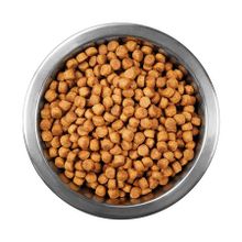 Animal World Tavuk Balık Karidesli 1 kg Açık Yavru kedi Maması