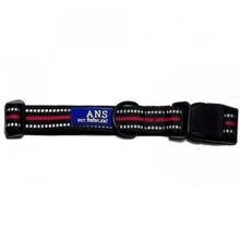 ANS 2,5 cm Genişlik Boynu 46-55 cm Köpek Boyun Tasması