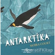 Antarktika-Moira Court