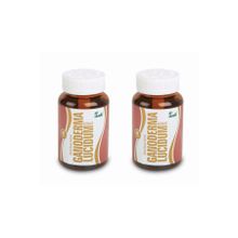 Anti Ganoderma Lucidium Reishi Mantarı 2x90 Kapsül