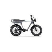 Ape Ryder A10 250 W Siyah 2 Kişilik Elektrikli Bisiklet