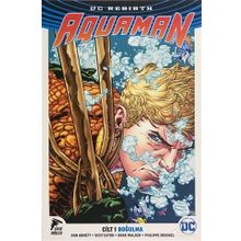 Aquaman Cilt 1 - Boğulma - Dan Abnett