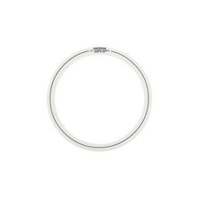 Aquarian SRSET3 14 inç Studio Rings