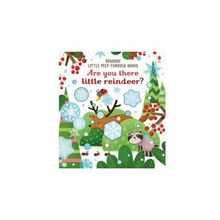 Are You There Little Reindeer-Usborne Yayınları