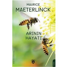 Arının Hayatı - Dorlion Yayınevi