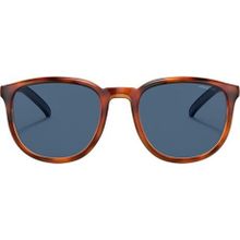 Arnette 4277 2722/55 53-20 Unisex Güneş Gözlüğü