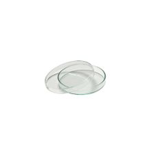 Aropi Plastik Gamma Steril 60 x 15 mm 10 Adet Petri Kutusu Kabı