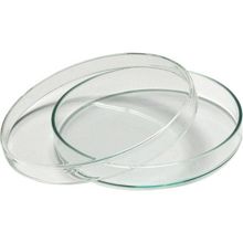 Aropi Plastik Steril Aseptik 90 x 15 mm 28 Adet Petri Kabı Kutusu