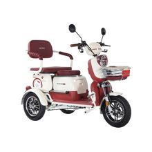 Arora Rüzgar New 650W 3 Tekerlekli Bordo Elektrikli Motosiklet