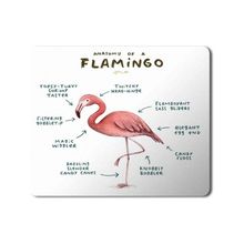 Art Hediye Flamingo Anatomisi Flamingo Anatomy Baskılı 23x19 cm Mouse Pad