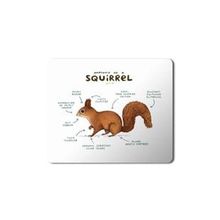 Art Hediye Sincap Anatomisi Squirrel Anatomy Baskılı 23x19 cm Mouse Pad